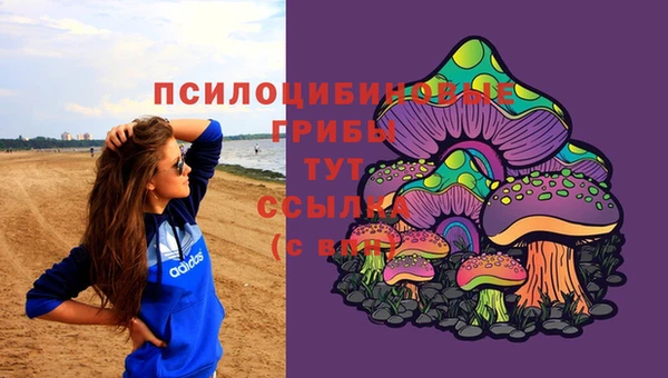 гидра Беломорск