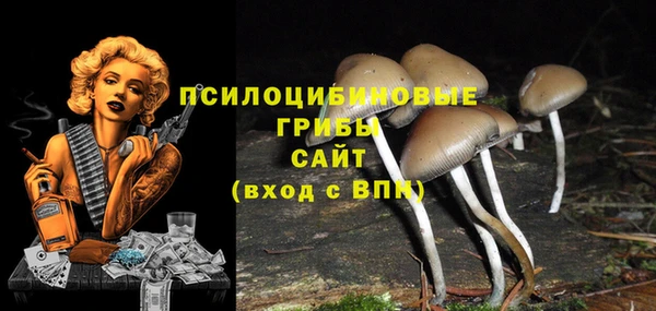 Альфа ПВП Белоозёрский
