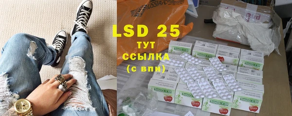 хмурый Белокуриха